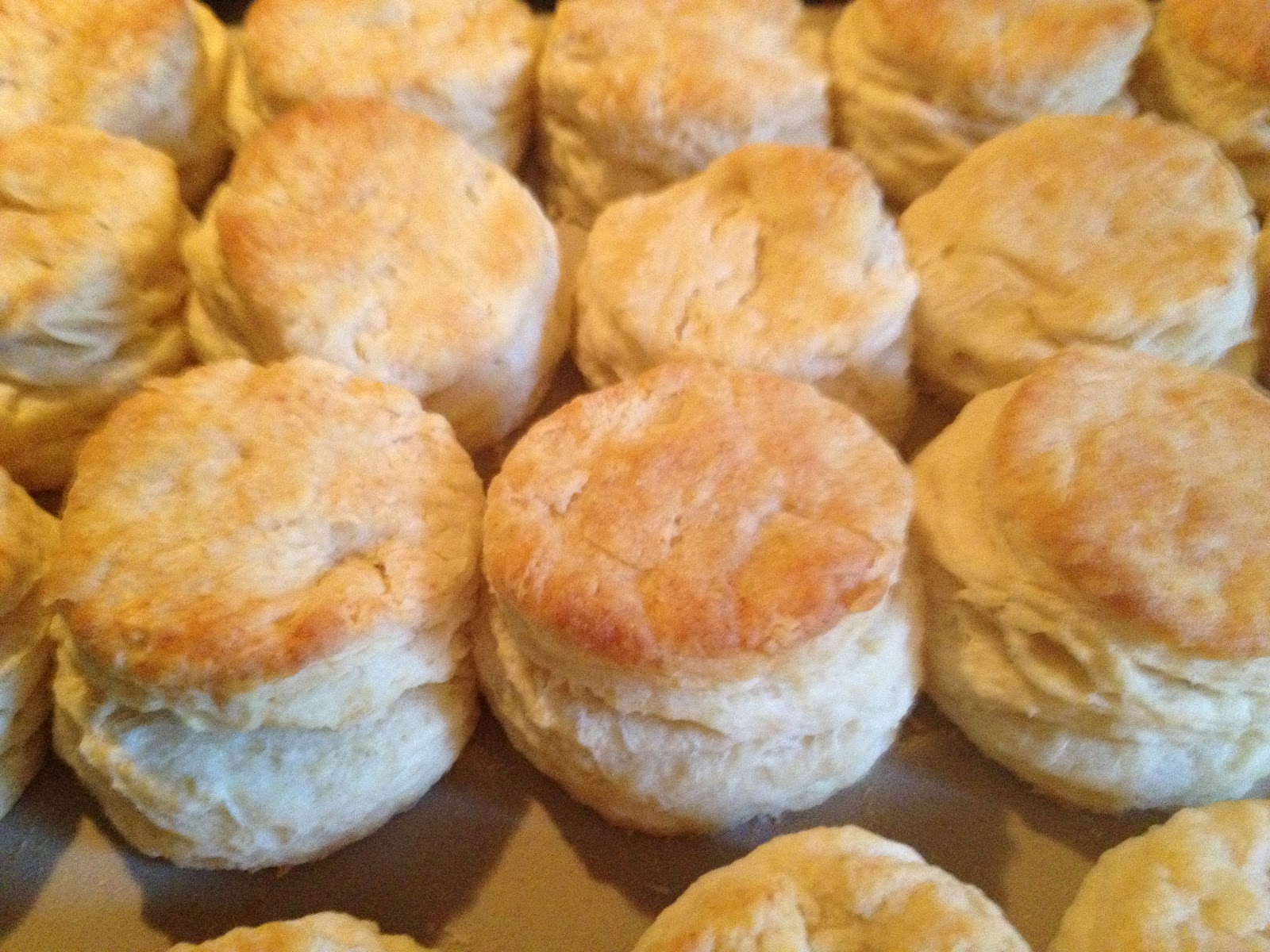 MyFridgeFood Basic Breakfast Biscuits