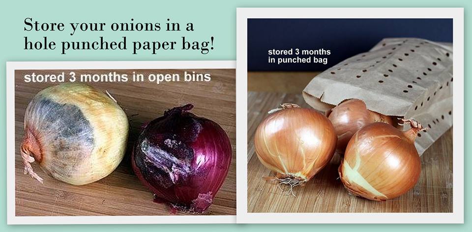 Store your Onions in Paper Bag with holes