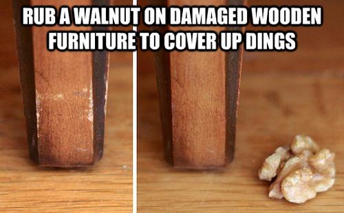 Walnuts cover damaged wood