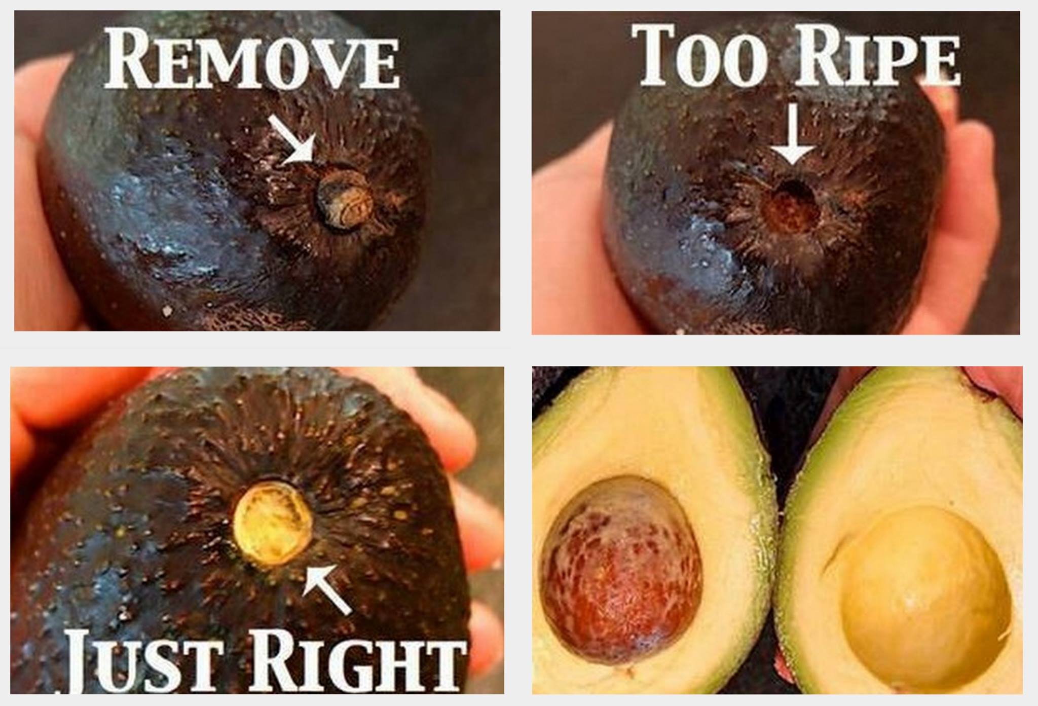 How to tell if an Avocado is ripe