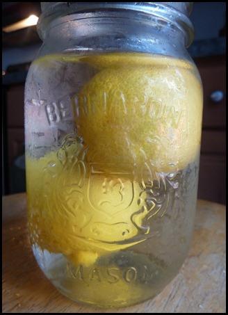 Store Lemons in jars w/ water for more Juice